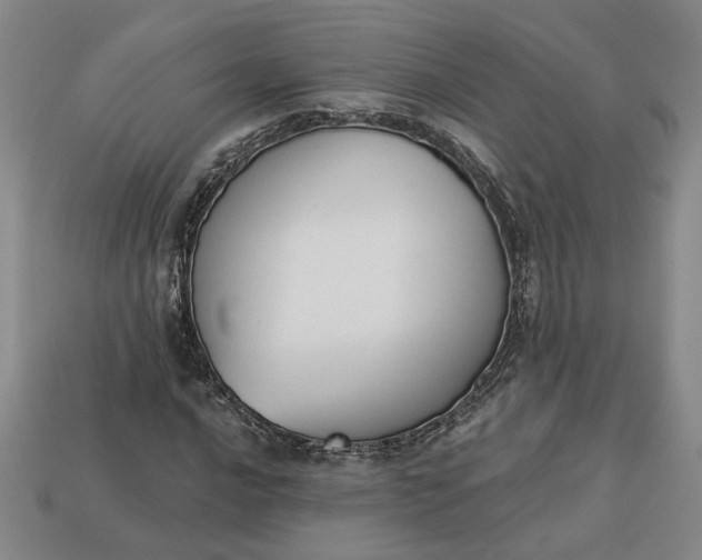 X0000113361016200909291026