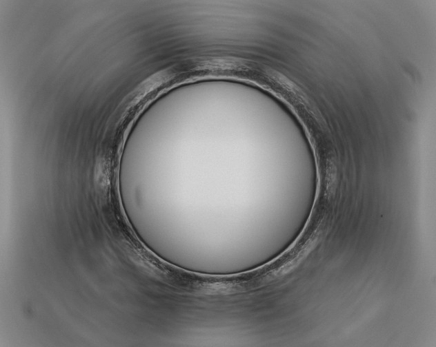 X0000113361017200909291026