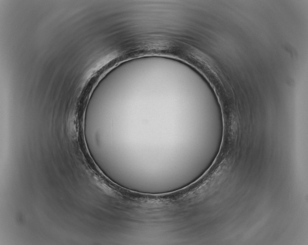 X0000113361018200909291026