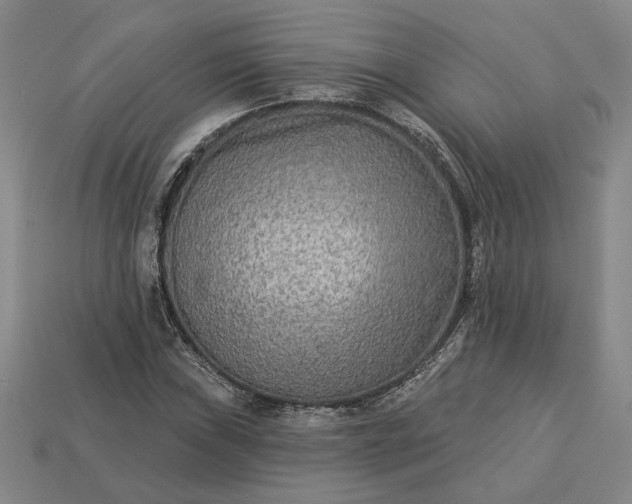 X0000113361019200909291026