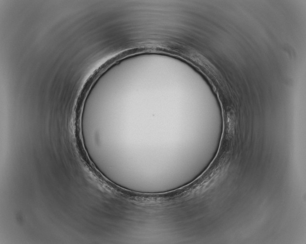 X0000113361020200909291026