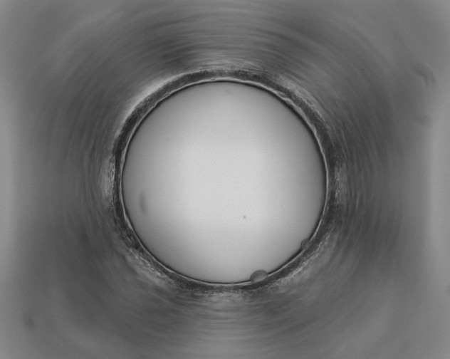 X0000113361021200909291026