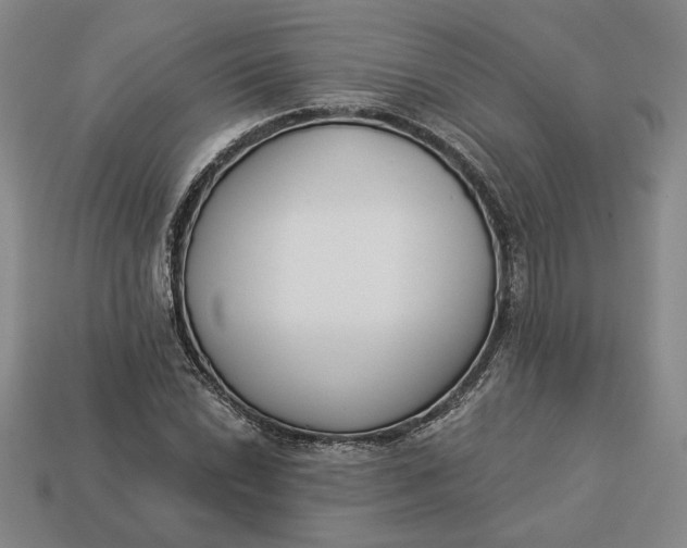 X0000113361022200909291026