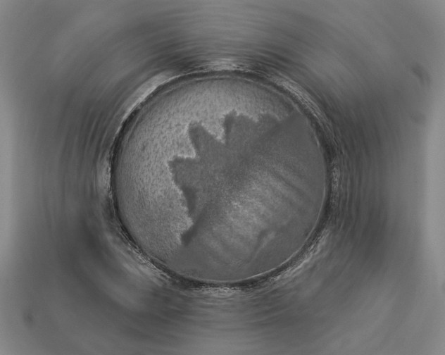 X0000113361023200909291026