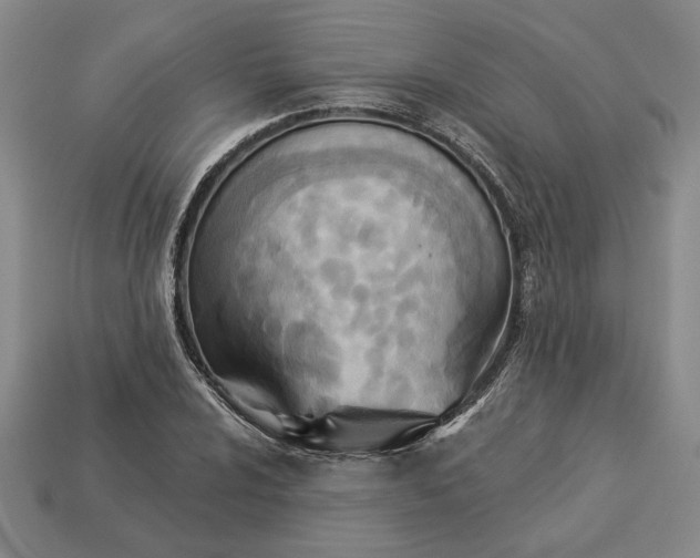 X0000113361024200909291026