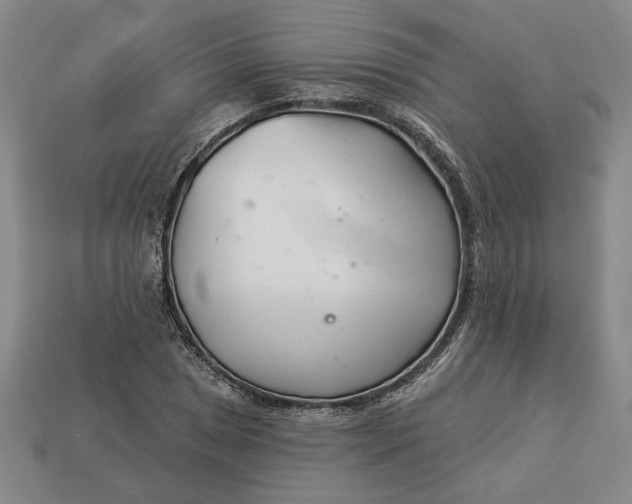 X0000113361025200909291026