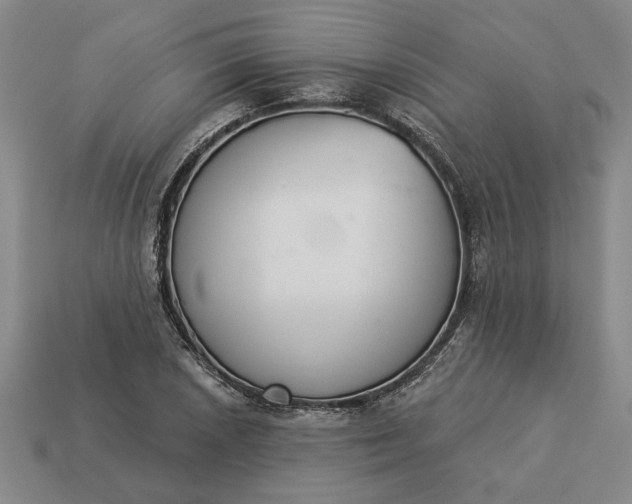 X0000113361026200909291026