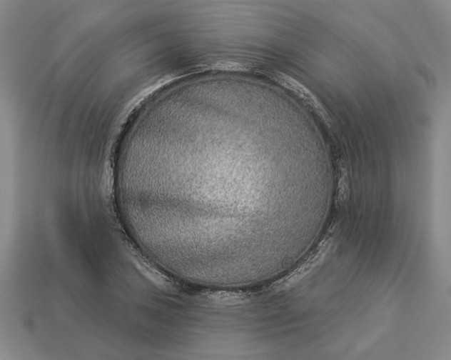 X0000113361027200909291026