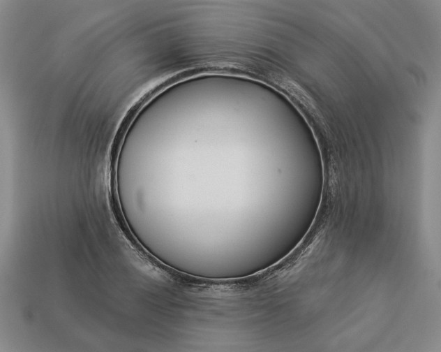 X0000113361028200909291026