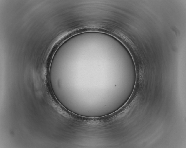 X0000113361029200909291026