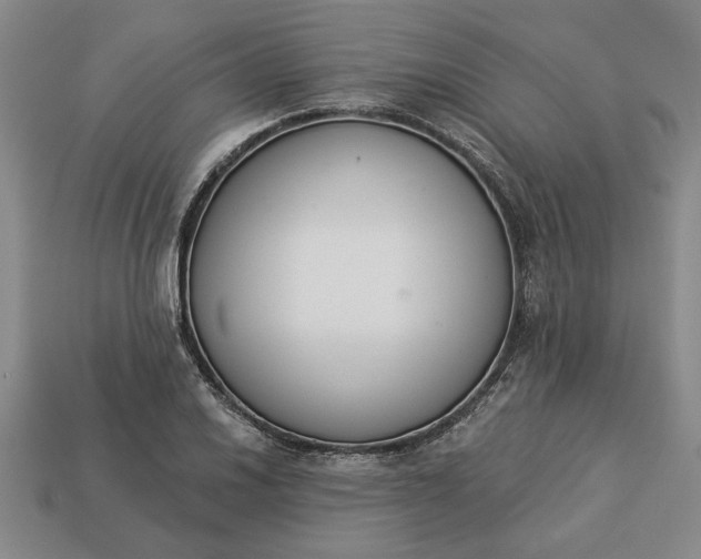 X0000113361030200909291026