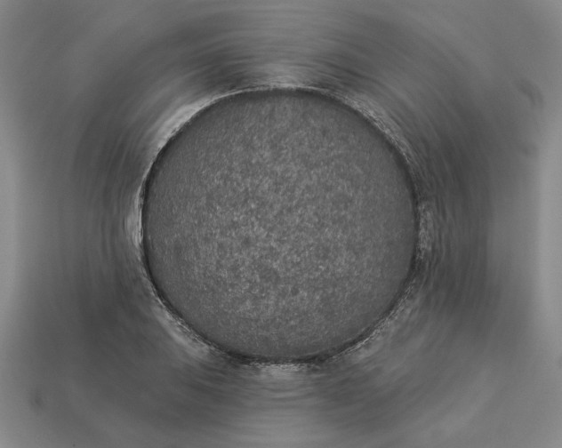 X0000113361031200909291026