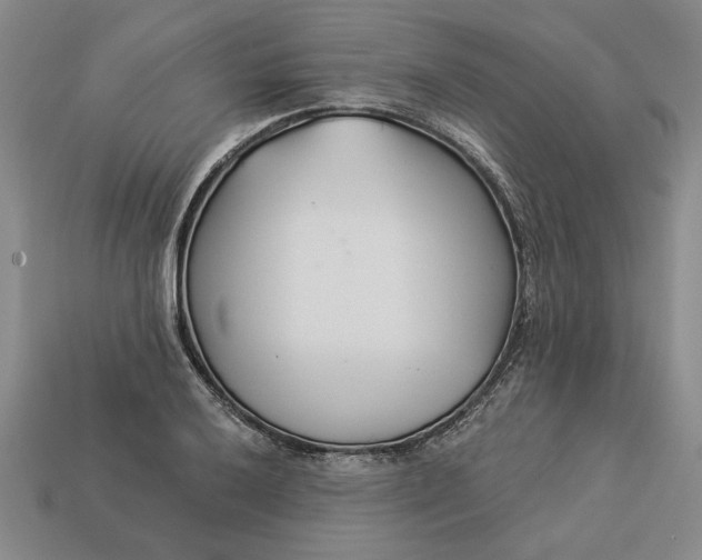 X0000113361032200909291026