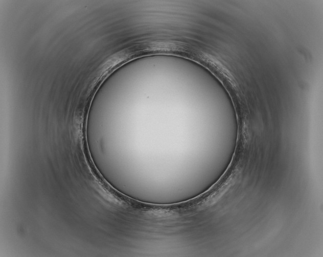 X0000113361033200909291026