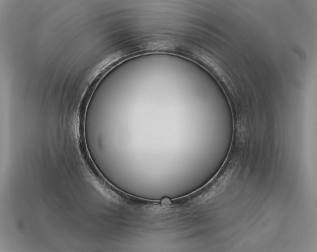 X0000113361034200909291026