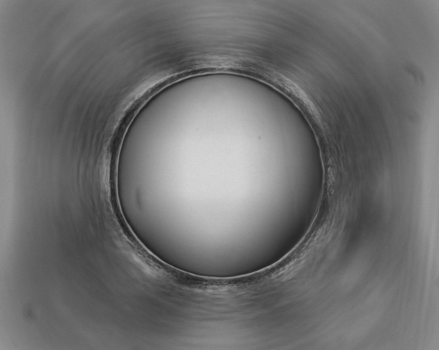 X0000113361035200909291026