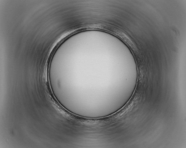 X0000113361036200909291026