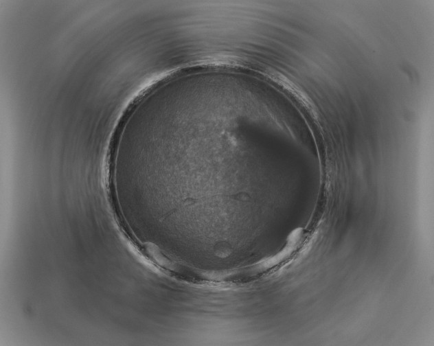 X0000113361037200909291026