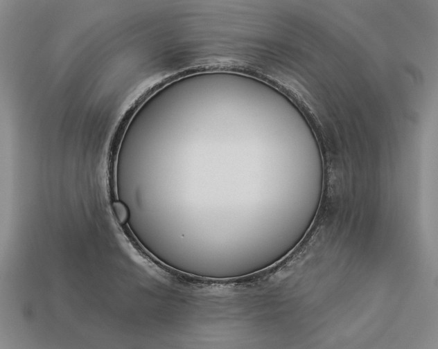 X0000113361038200909291026