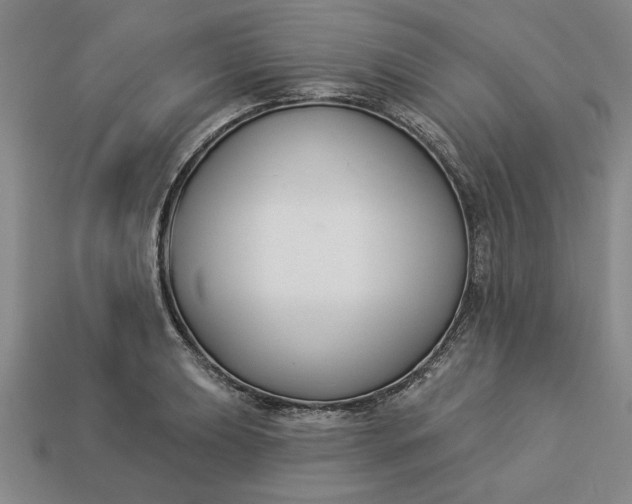 X0000113361039200909291026