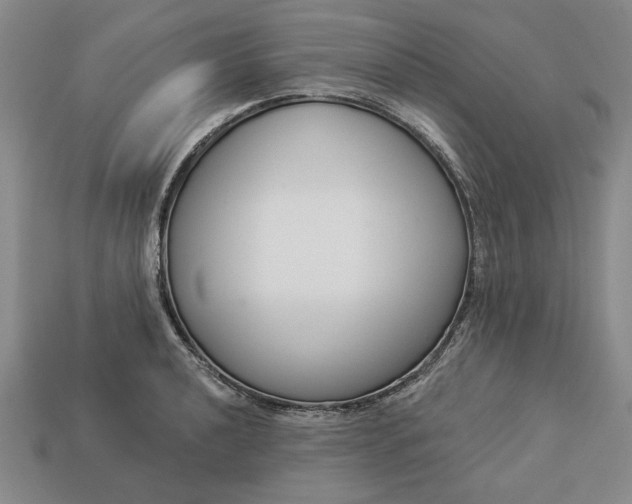 X0000113361040200909291026