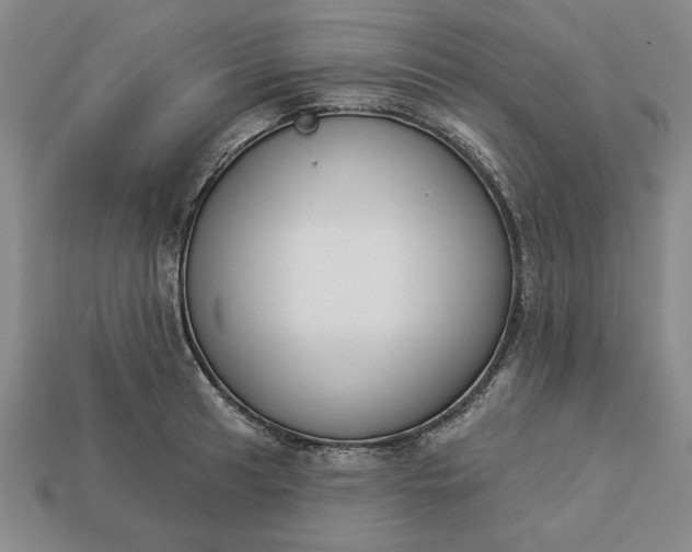 X0000113361041200909291026