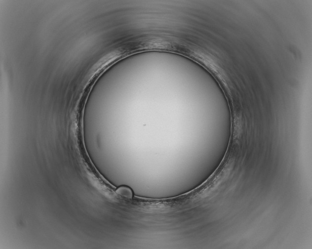 X0000113361042200909291026