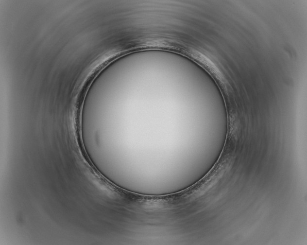 X0000113361043200909291026