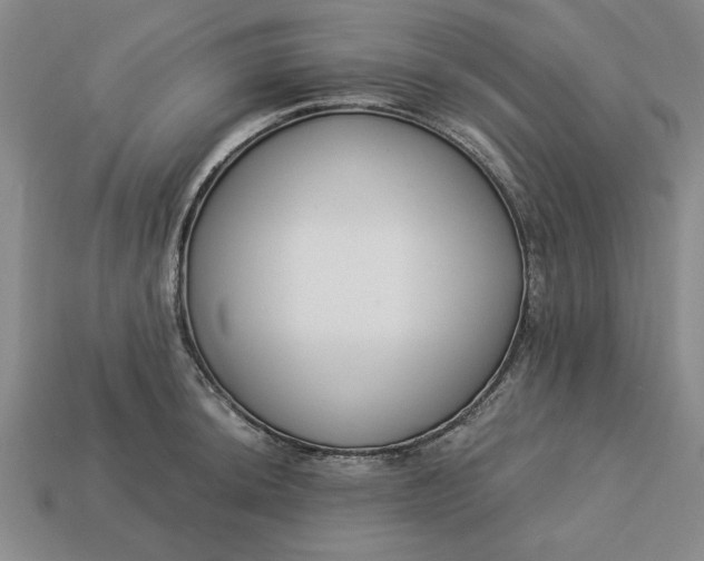 X0000113361044200909291026