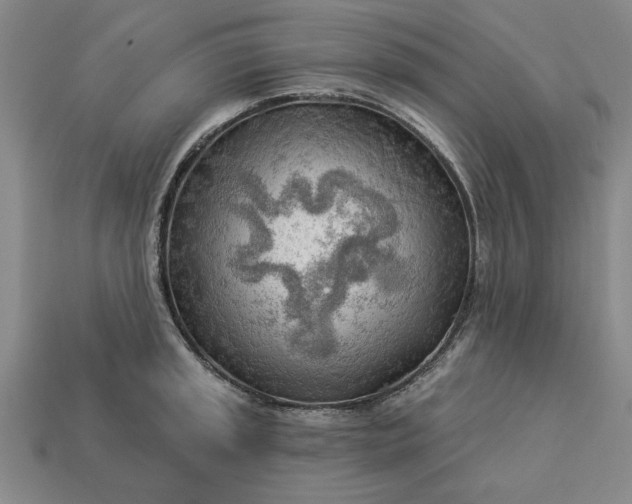 X0000113361045200909291026