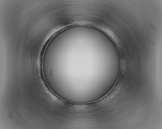 X0000113361046200909291026