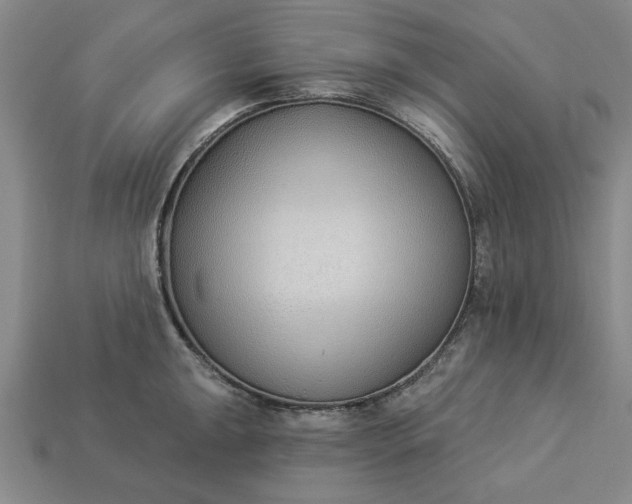 X0000113361047200909291026