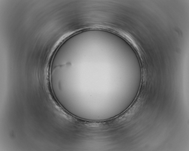 X0000113361048200909291026