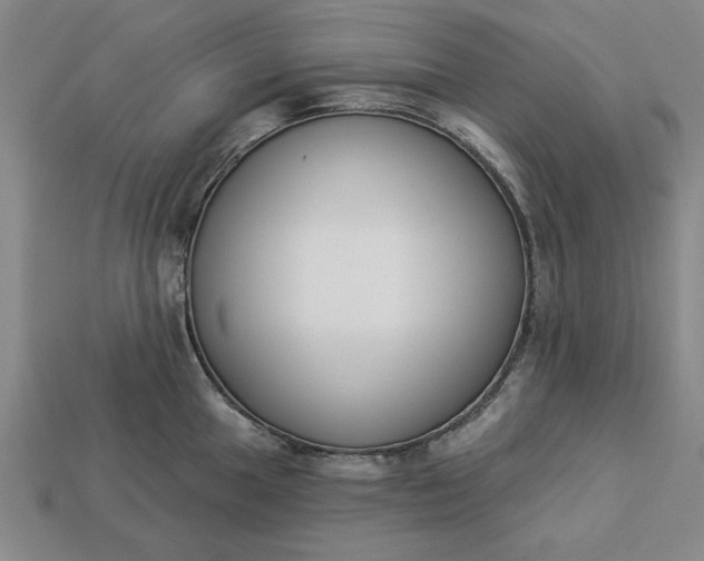 X0000113361049200909291026