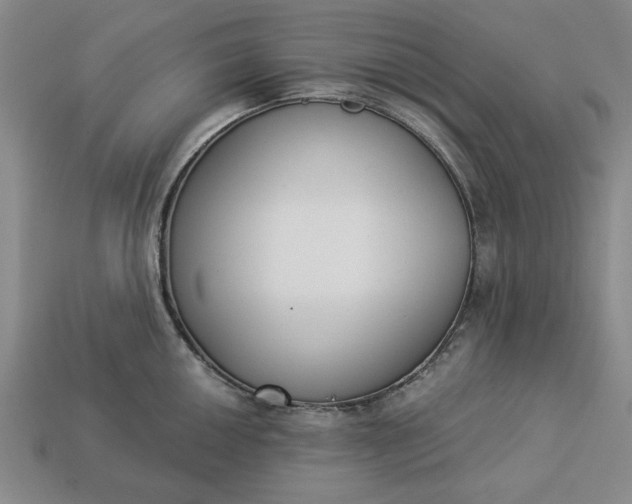 X0000113361050200909291026