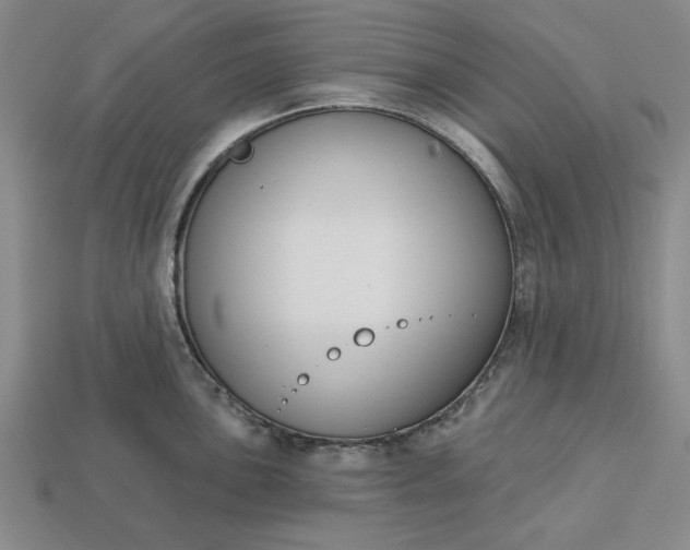 X0000113361051200909291026