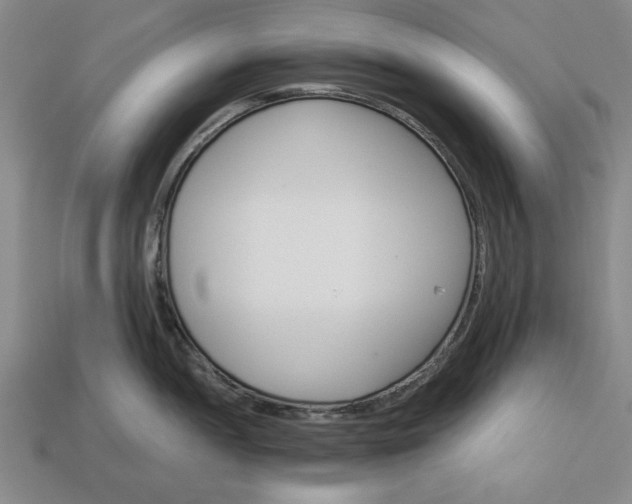 X0000113361052200909291026