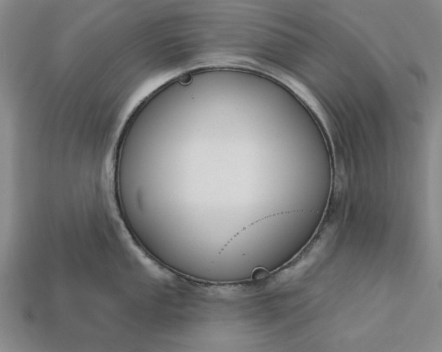 X0000113361053200909291026