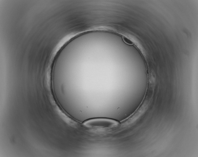 X0000113361054200909291026