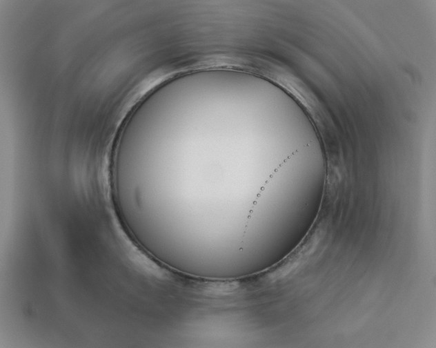 X0000113361055200909291026