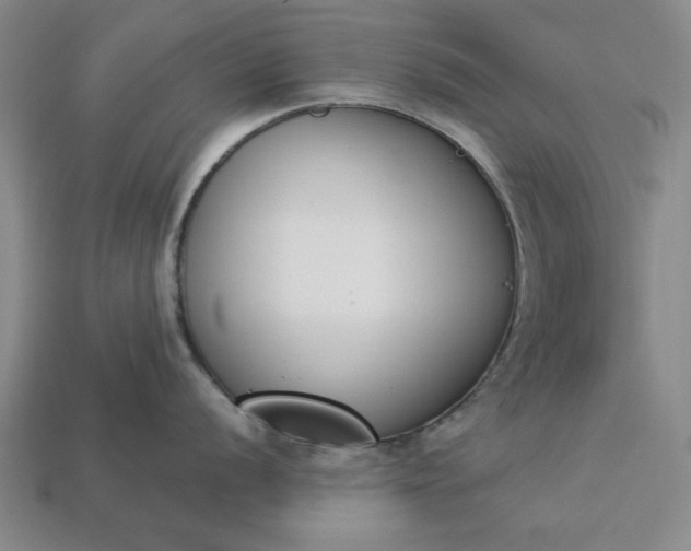 X0000113361056200909291026