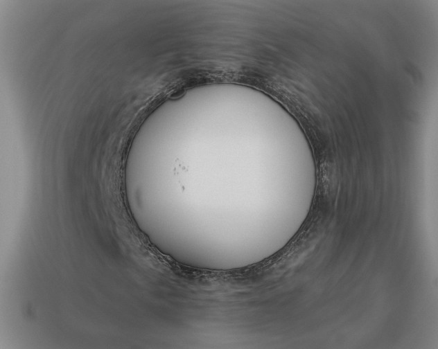 X0000113361057200909291026