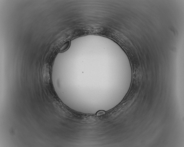 X0000113361058200909291026