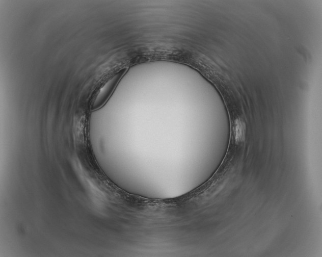 X0000113361059200909291026