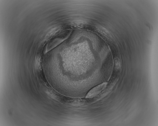 X0000113361060200909291026