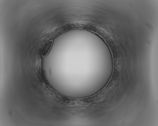 X0000113361061200909291026