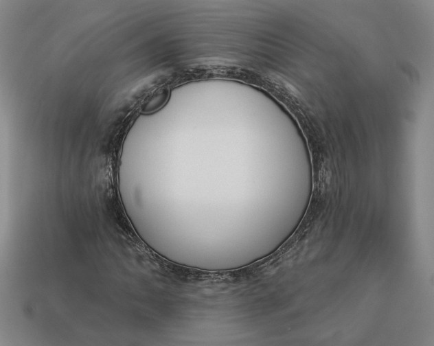 X0000113361062200909291026