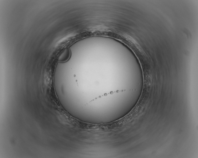 X0000113361063200909291026