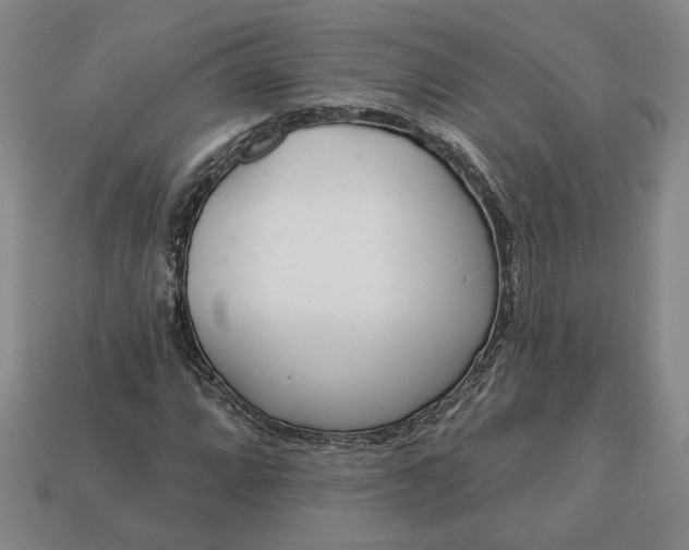 X0000113361064200909291025