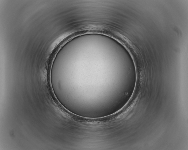 X0000113361066200909291025